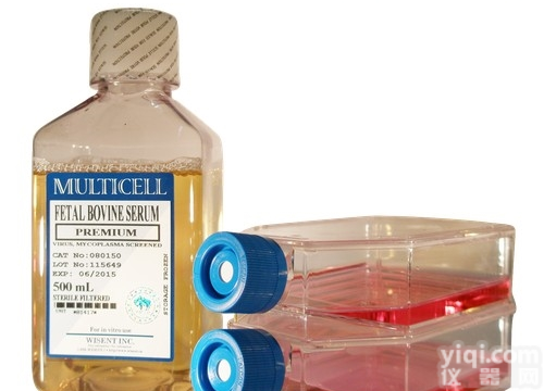 <em>RKO</em>人<em>结肠</em><em>癌细胞</em>/人<em>结肠</em>腺<em>癌细胞</em>