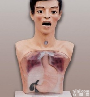 KAJ/XW-1  带<em>警示</em>透明<em>洗胃</em>机制<em>模型</em>