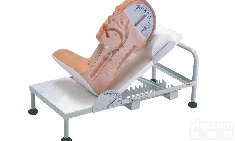 KAJ/H88  高级<em>吞咽</em>机制模型，<em>吞咽</em>与呼吸机制演示模型