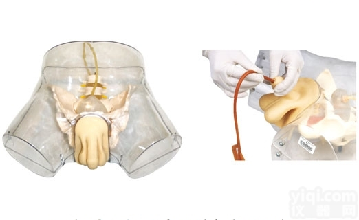 KAJ/F1  高级透明<em>男性</em><em>导尿</em><em>模型</em>，高级<em>男性</em>透明<em>导尿</em><em>模型</em>