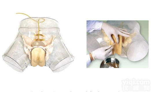 KAJ/F2  高级透明<em>女性</em><em>导尿</em><em>模型</em>，高级<em>女性</em>透明<em>导尿</em><em>模型</em>