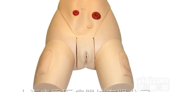 KAJ/E2  高级整体<em>女性</em><em>导尿</em><em>模型</em>，高级<em>女性</em>整体<em>导尿</em><em>模型</em>