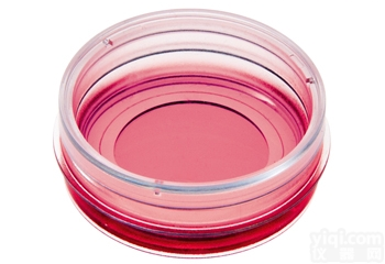 µ-Dish 35 mm培养皿  µ-Dish 35 mm培养皿-81156 81151 80...