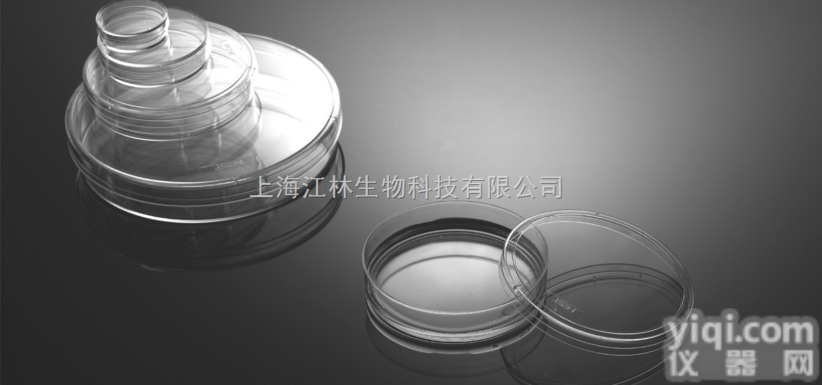 <em>细胞培养技术服务</em>