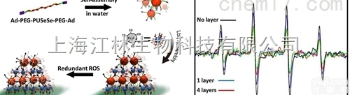 ROS<em>活性</em>氧<em>检测</em><em>技术服务</em>