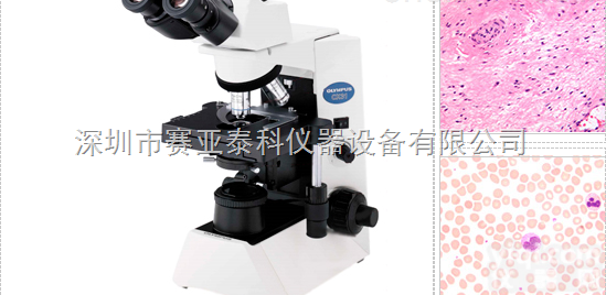 日本原装进口奥林巴斯生物<em>显微</em>镜CX31 深圳<em>价格优惠</em>