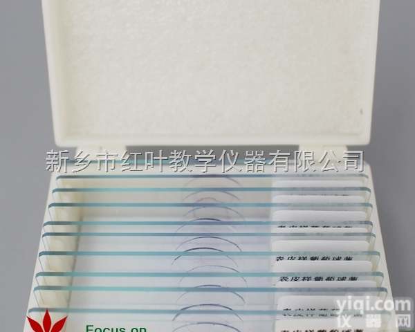 生物<em>切片</em> 生物显微玻片 10种细菌套装 <em>微生物</em><em>切片</em> 菌类<em>切片</em>  教学