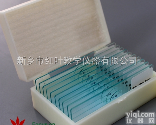 生物切片/<em>植物</em>切片/<em>植物</em>根茎10片装/生物<em>玻片</em> 显微镜配件标本