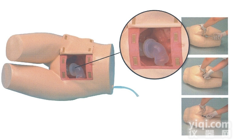 KAJ/13  <em>辅助</em><em>排便</em>和<em>灌肠</em>练习模型