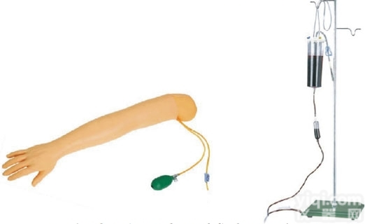 KAJ/S3  高级手臂<em>动脉</em><em>穿刺</em>及肌肉<em>注射</em>训练模型