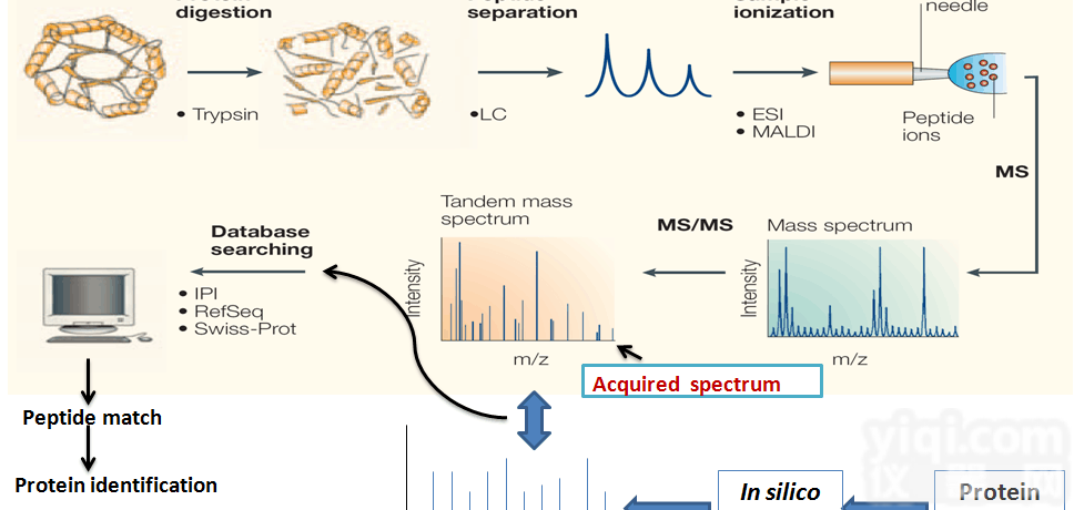 JRD258  <em>iTRAQ</em>蛋白<em>技术服务</em>