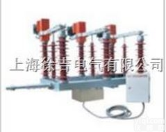 <em>FZW</em>□-40.5/630-20型<em>户外</em>真空隔离负荷开关