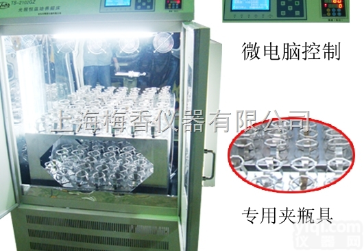 MX-DY  大型<em>震荡</em><em>摇床</em>培养箱<em>价格</em>