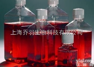 兔抗<em>小鼠</em><em>IgG</em>（H+L）（<em>小鼠</em><em>IgG</em><em>亲和</em>纯）/RabbitAnti-M...