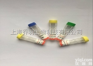 HRP标记羊抗兔IgG（H+L）/GoatAnti-<em>RabbitIgG</em>...