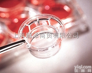 Corning Transwell <em>透明</em><em>聚酯薄膜</em>嵌套