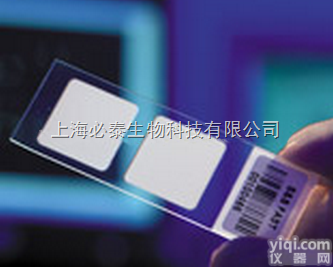 Whatman 沃特曼 FAST Quant 40<em>蛋白芯片</em>