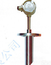 WRNG <em> 裂解炉专用热电偶</em> 聚乙烯裂解炉专用热电偶 防爆热电偶