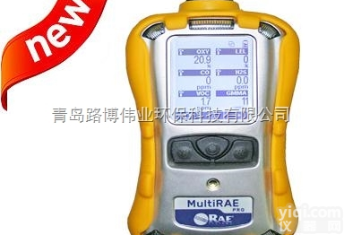 PGM-62XX  青岛路博<em>总代</em>理<em>美国</em><em>华瑞</em>六合一气体检测仪 PGM-62XX