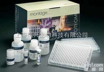 <em>植物蛋白</em><em>抽提</em><em>试剂盒</em>