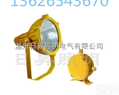 GB8401防爆<em>投光灯</em>。防爆<em>投光灯</em>专业厂家<em>批发价</em>供应
