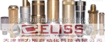 原装<em>英国</em>Seetru<em>法兰</em>安全阀