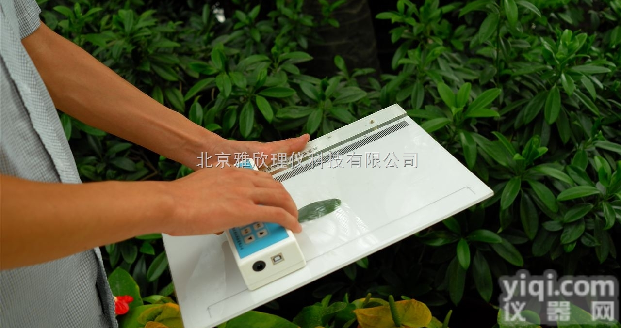 <em>Yaxin</em>-<em>1241</em>  <em>叶面积仪</em>