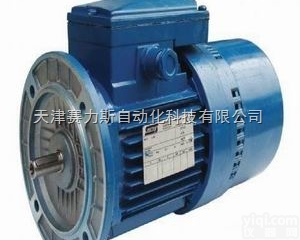 原装<em>意大利</em>SEIPEE带<em>刹车</em>电机