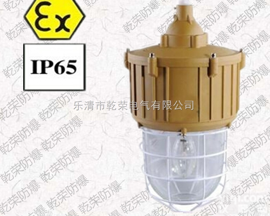 BLC  BLC8610防爆<em>道路灯</em><em>生产厂家</em>【乾荣防爆供】