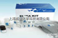 96T  <em>人精</em>氨基<em>琥珀酸</em><em>合成酶</em>（ASS1） ELISA kit