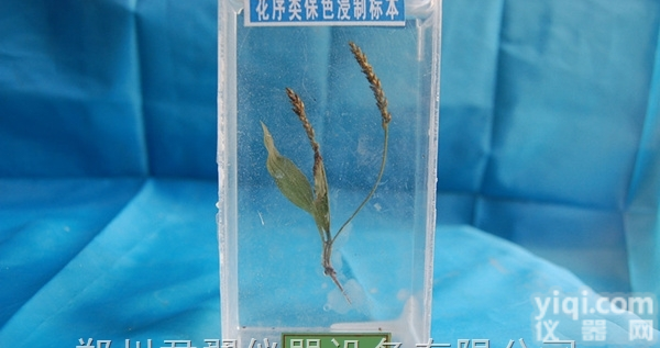 河南郑州<em>初中</em><em>生物教学</em>仪器批零