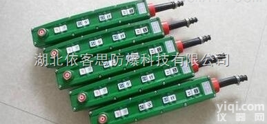 起重机<em>升降</em>BAK41<em>防爆</em>电动<em>葫芦</em>按钮