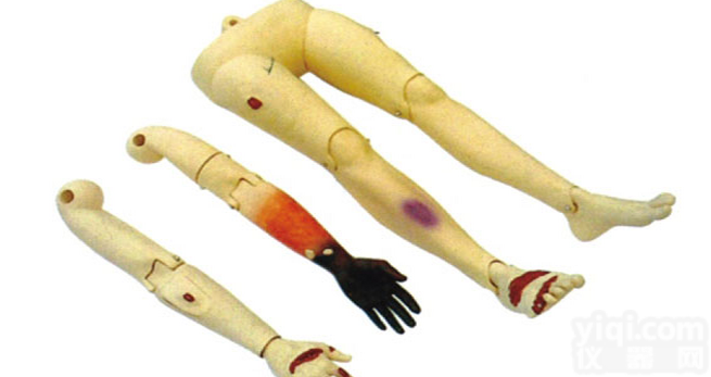 KAH/110-10  高级<em>创伤</em><em>四肢</em>-<em>模型</em>