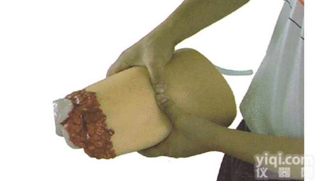 KAH/H3008  <em>下肢</em>外伤<em>断肢</em>-<em>止血</em>模型