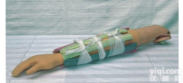 KAH/H340  <em>上臂</em><em>骨折</em>-<em>模型</em>