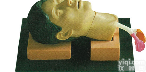 <em>KAH</em>-CK1261  环甲膜<em>穿刺</em>和<em>切开</em>训练仿真模型