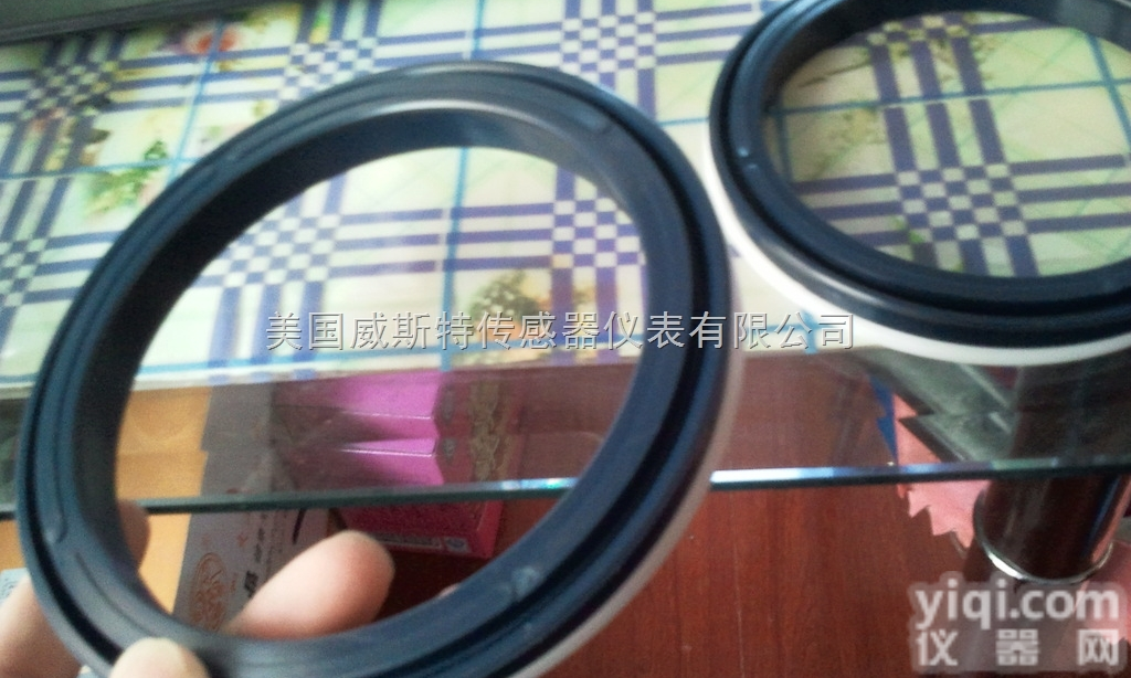 ES ESV  德国迈克MERKEL<em>密封圈</em>上海<em>总代理</em>