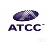 KB  KB细胞，人<em>口腔</em><em>表皮</em>样<em>癌细胞</em>，栩冉细胞代理