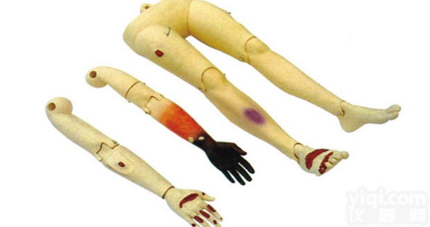 KAH/110-10  高级<em>创伤</em><em>四肢</em>-<em>模型</em>