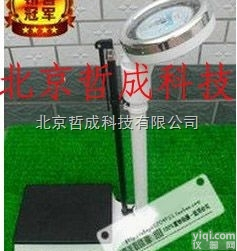 RGZ-120  体重秤（字<em>盘式</em>）/<em>机械式</em>体重秤