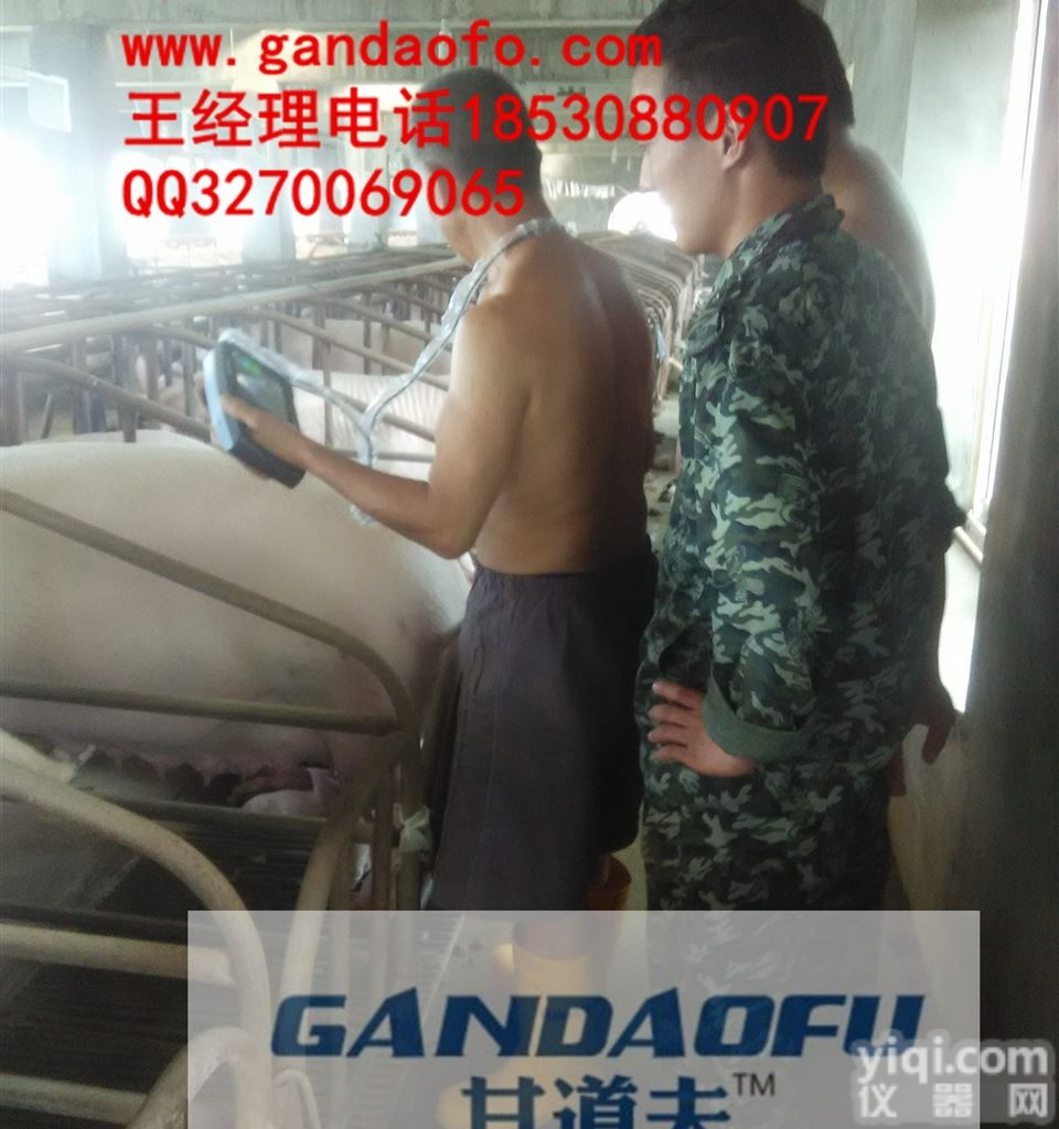 猪B超测孕方法技术<em>培训服务</em>