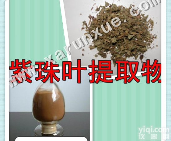 10:1  润雪生物 紫珠叶<em>浓缩粉</em> 包邮厂家直销<em>散装</em>纯粉质量保证