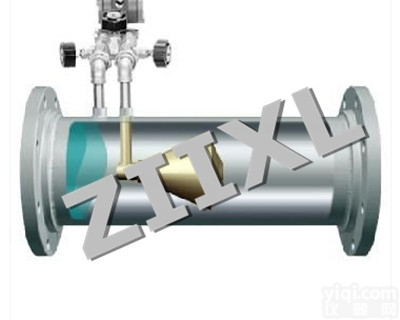 ZXLDG  <em>铂金电极电磁流量计</em>