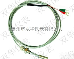 <em>端面</em>式铠装热<em>电阻</em>