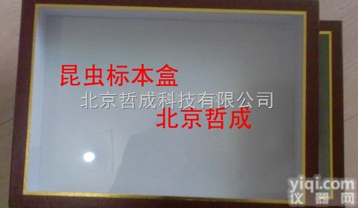 A1  蝴蝶昆虫生活史<em>标本</em>盒、定做<em>标本</em>盒、A4型<em>标本</em>盒、<em>植物</em><em>标本</em>盒