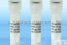 抗<em>双链</em>RNA <em>抗体</em>