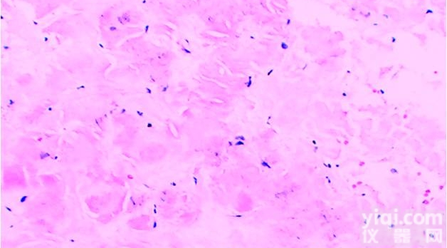 JRD344  <em>病理</em>学<em>技术服务</em>