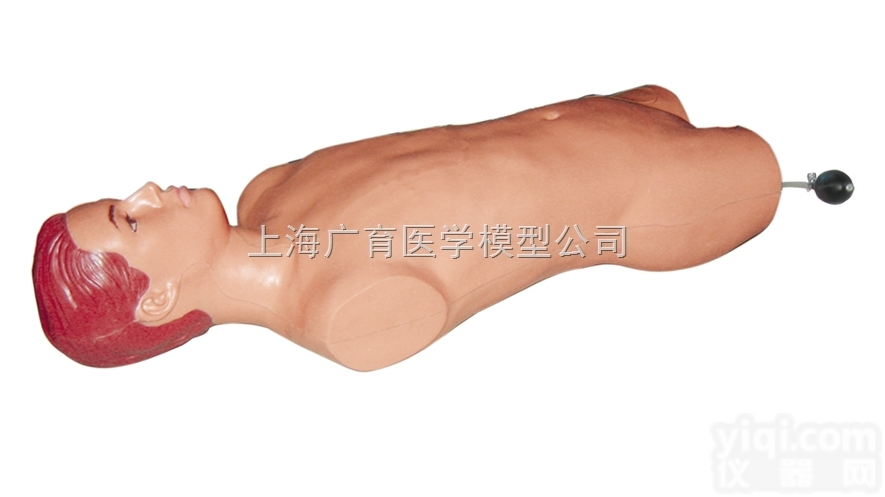 ZKD-GDC  <em>股动脉穿刺模拟人</em>