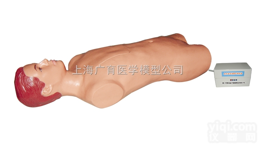 ZKD-GDCⅡ  股动脉自动<em>搏动</em><em>穿刺</em>模<em>拟人</em>