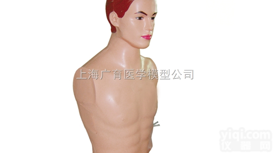 ZKD-SRD  <em>上颌窦穿刺训练模型</em>